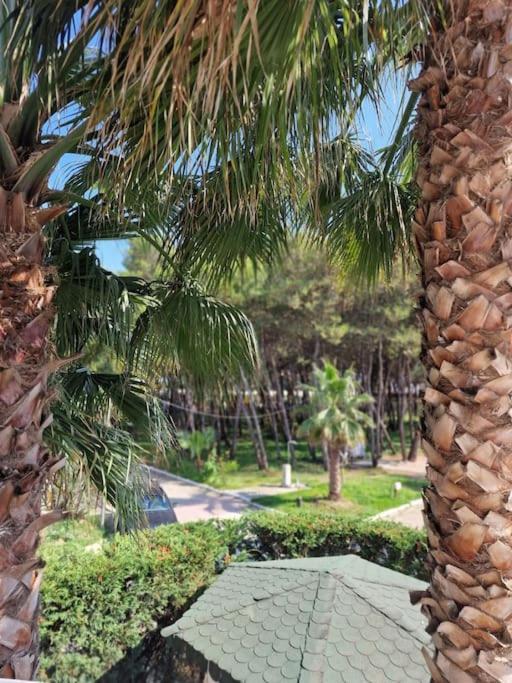 Pearl Adriatic Coast Apartment Golem (Tirana)