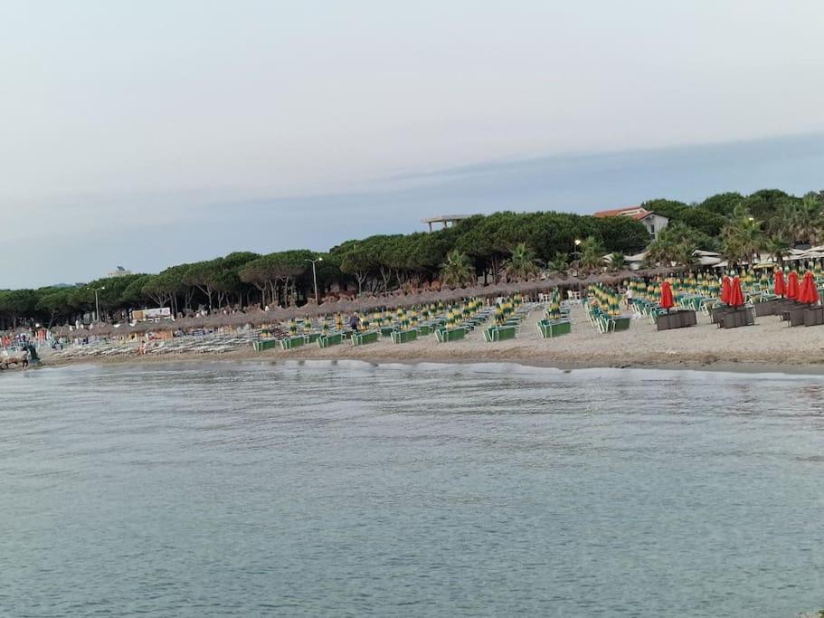 Apartment Pearl Adriatic Coast