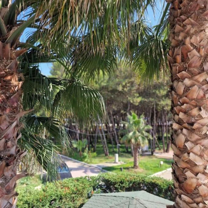 Pearl Adriatic Coast Apartament